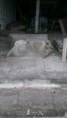/album/our-projects-/causey-warehouse-before-jpg1/